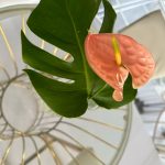 Enhance Your Event With Fresh Floral Table Centrepieces By J.K. Florists