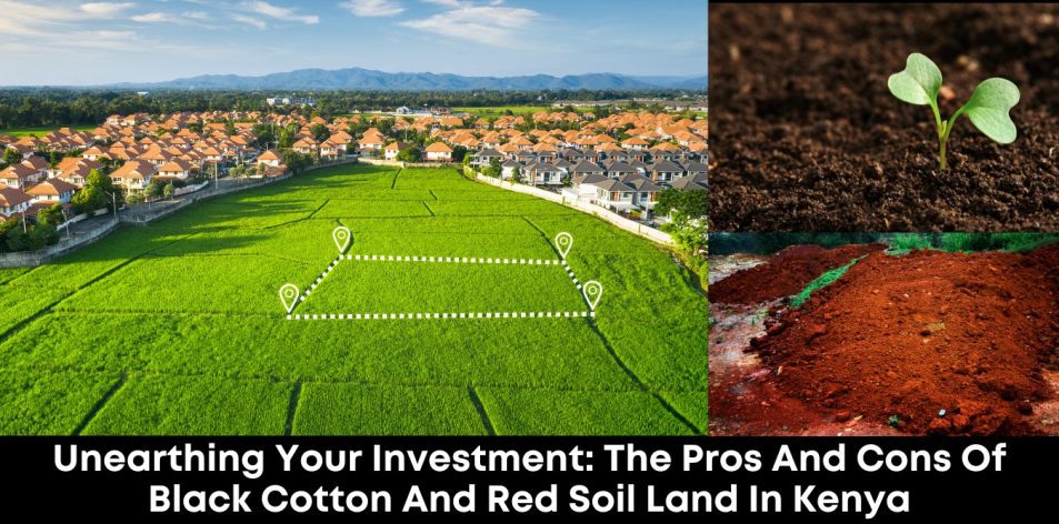 Unearthing Your Investment- The Pros and Cons of Black Cotton and Red Soil Land in Kenya