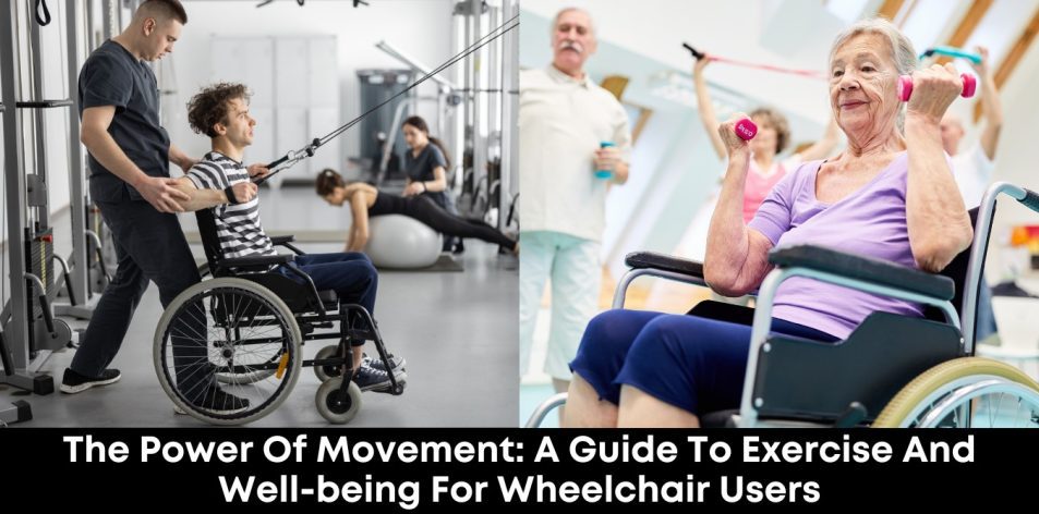 The Power of Movement- A Guide to Exercise and Well-being for Wheelchair Users