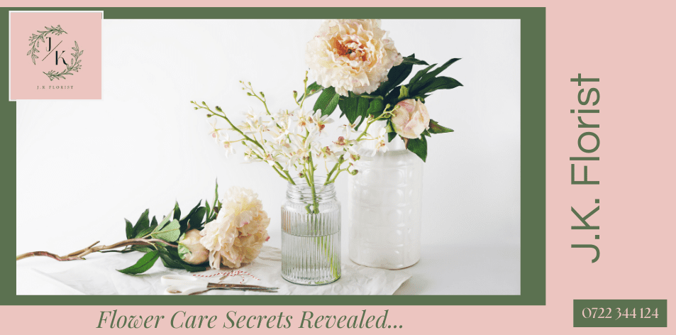 🌼 J.K. Florist: Flower Care Secrets Revealed