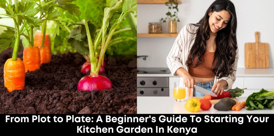 From Plot to Plate- A Beginner's Guide to Starting Your Kitchen Garden in Kenyas