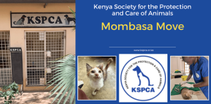 KSPCA Mombasa: Rising To The Challenge — Our Coastal Shelter’s Move Mission