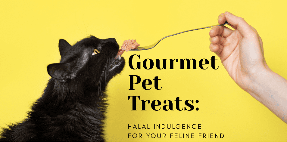 Gourmet Pet Treats: Halal Indulgence For Your Feline Friend - H&S Pets Galore