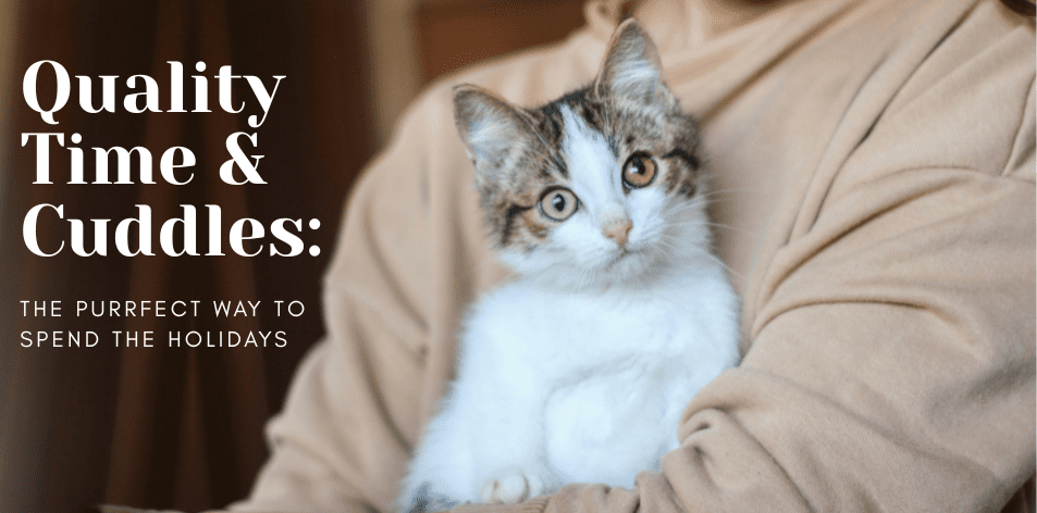 Quality Time & Cuddles: The Purrfect Way To Spend The Holidays - H&S Pets Galore