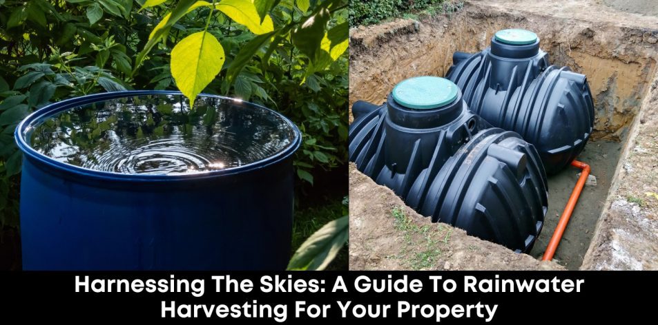 Harnessing the Skies- A Guide to Rainwater Harvesting for Your Property