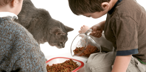 Raising Children With Inner Accountability - H&S Education & Parenting