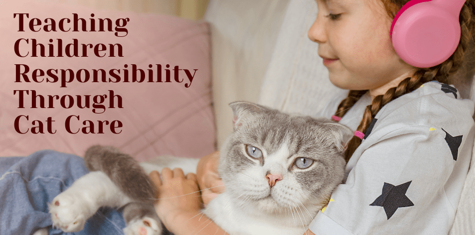 Teaching Children Responsibility Through Cat Care - H&S Pets Galore