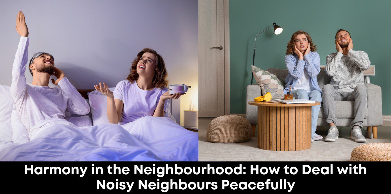 Harmony in the Neighbourhood: How to Deal with Noisy Neighbours Peacefully