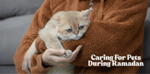 🐾 Caring For Pets During Ramadan - H&S Pets Galore