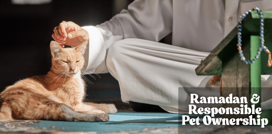 🐱 Ramadan & Responsible Pet Ownership - H&S Pets Galore