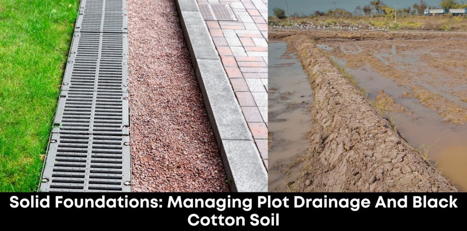 Solid Foundations- Managing Plot Drainage And Black Cotton Soil