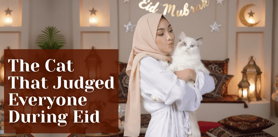 The Cat That Judged Everyone During Eid - H&S Pets Galore