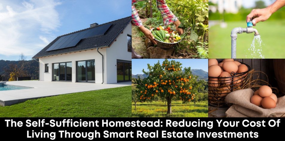 The Self-Sufficient Homestead- Reducing Your Cost of Living Through Smart Real Estate Investments