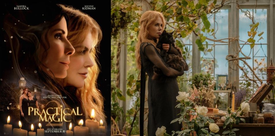 Practical Magic 2 (2026)